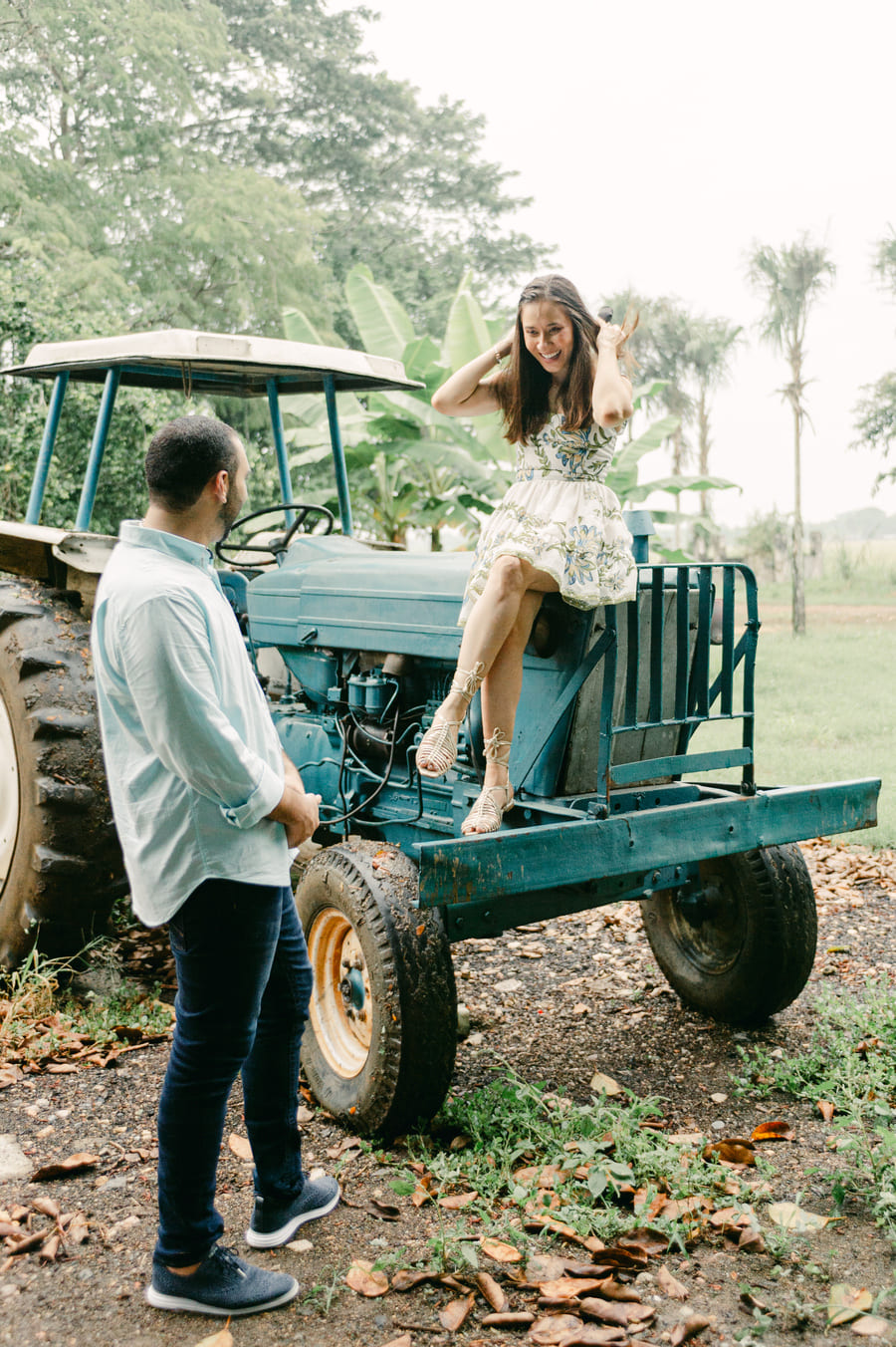 Descripción de la imagen 33